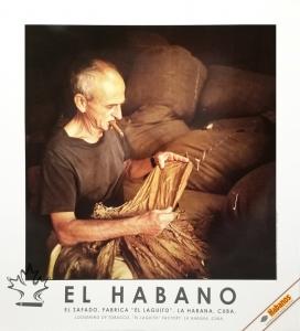 Habanos Cigar Poster - Loosening of Tobacco
