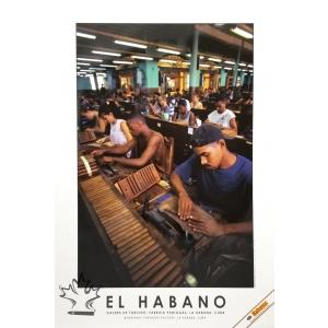 Habanos Cigar Poster - Partagas Factory Workshop
