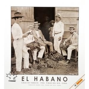Habanos Cigar Poster - Tobacco Barn